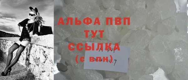 СК Аркадак